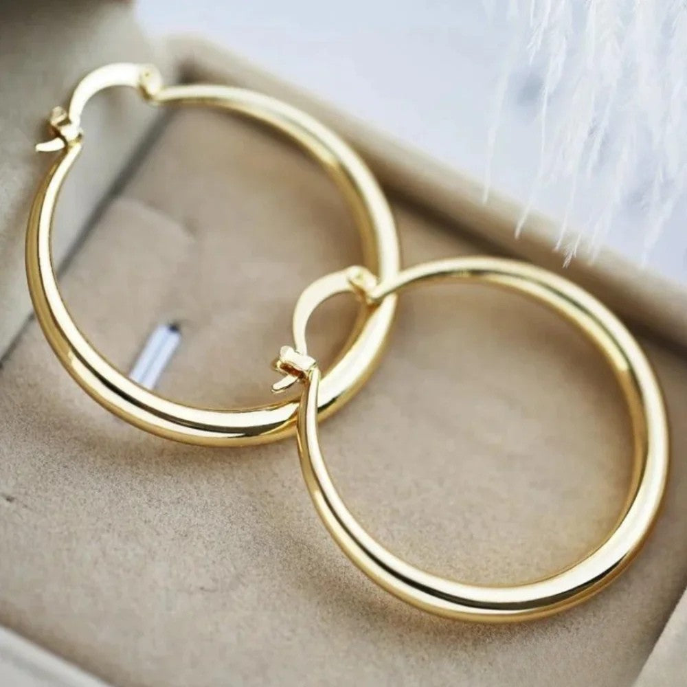 Big Gold Hoop Earrings