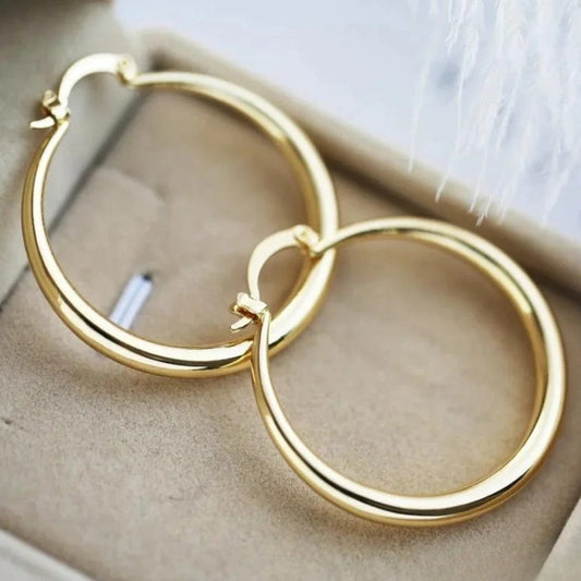 Big Gold Hoop Earrings